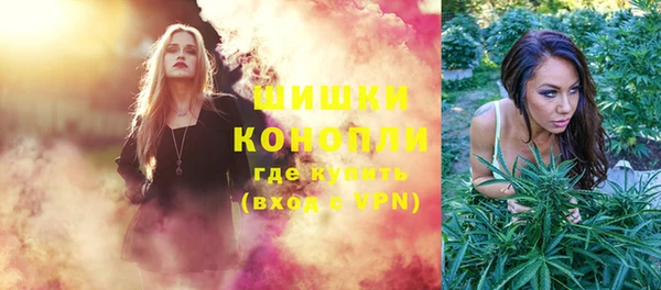 хмурый Щигры