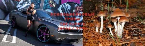 амфетамин Щучье