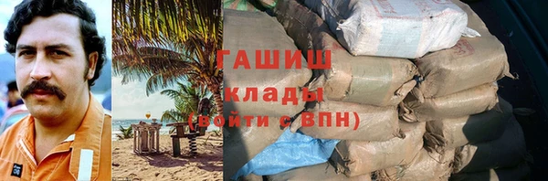 хмурый Щигры