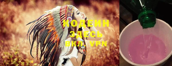 хмурый Щигры