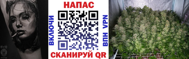 Купить закладки  Черняховск  Каннабис Ganja 